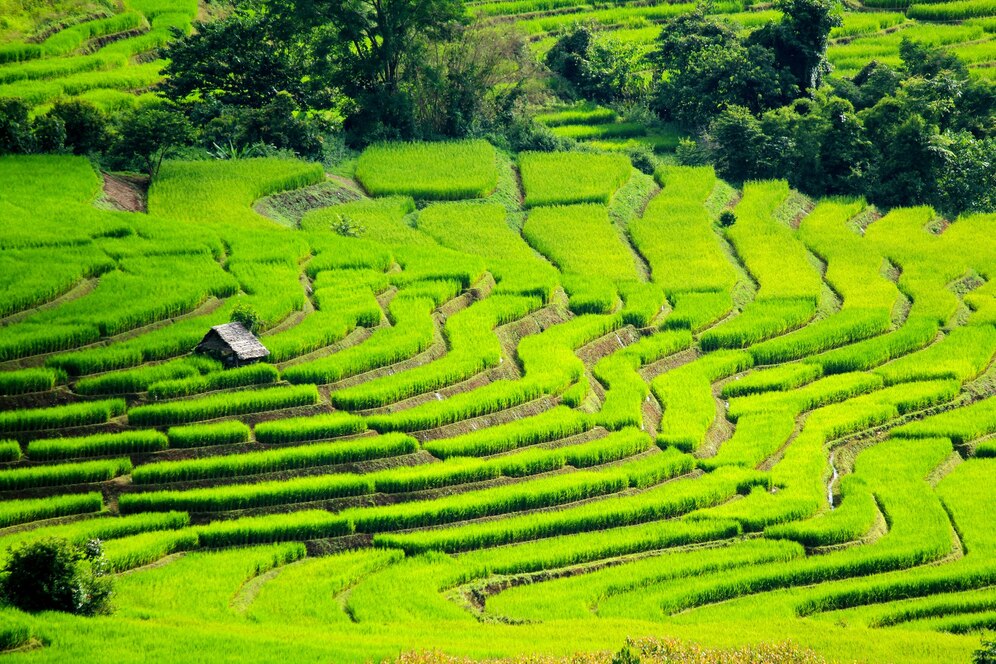 Karnataka